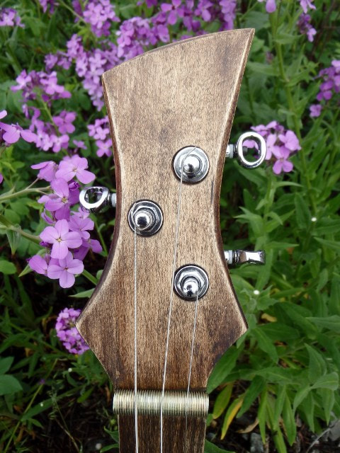 Wood headstock from Wires and Wood in front of purple flowers.